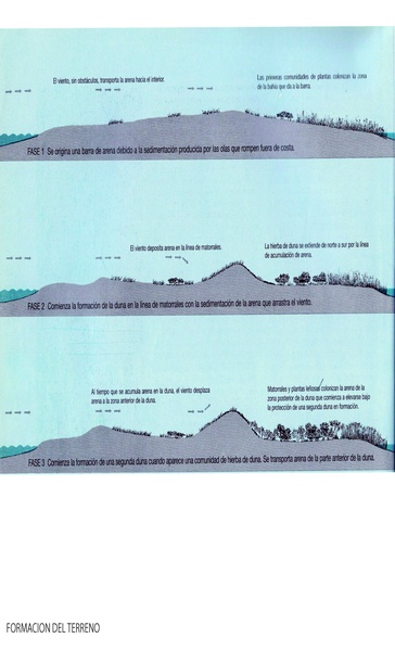 Proyectar con la naturaleza