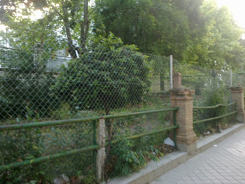 Desaprovechando espacios verdes (Avenida de las fuerzas armadas, Granada)