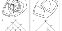 Imagen para el proyecto La ciudad no es un árbol. Reseña.