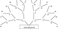 Imagen para el proyecto La ciudad no es un árbol