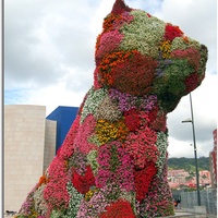 Imagen para la entrada El "Efecto Guggenheim"