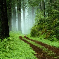 Imagen para la entrada Retomar el contacto con la naturaleza.