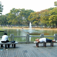 Imagen para la entrada PASEANDO POR TOKIO