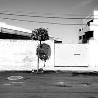 Imagen para la entrada MASTERPLAN