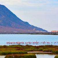 Imagen para la entrada Masterplan Cabo de Gata
