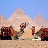 Imagen para la entrada Topografía Cairo