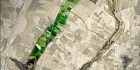 Imagen para el proyecto Rosa Barba Casanovas- "LOS EJES EN EL PROYECTO DE LA CIUDAD"
