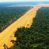 Imagen para la entrada 8. GÓMEZ-ORDÓNEZ: Trazar el territorio