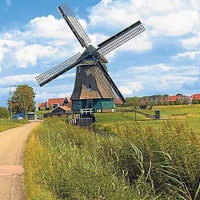 Imagen para la entrada PROYECTAR CON LA NATURALEZA Y SUS PARTICULARIDADES