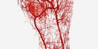 Imagen para el proyecto PRÁCTICA 2 - VIENA