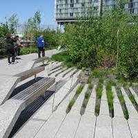 Imagen para la entrada high line NY