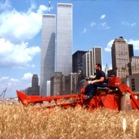 Imagen para la entrada "WheatField - A confrontation"