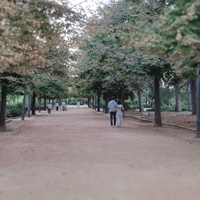 Imagen para la entrada Masterplan: connection between Granada and Maracena 