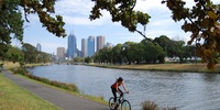 Imagen para el proyecto Proyecto final Melbourne. Descongestión