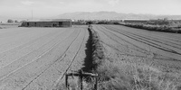 Imagen para el proyecto MASTER PLAN