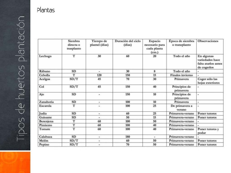 Tipos de huertos plantación