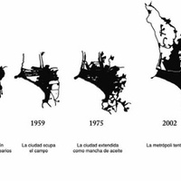 Imagen para la entrada 2.Lynch, El arte de planificar el Sitio