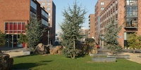 Imagen para el proyecto Rotterdam Stadstuinen