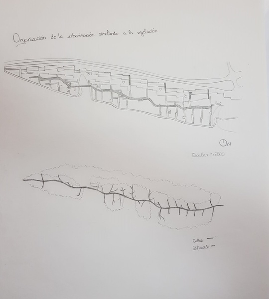 2.1. Análisis de modelo 5.