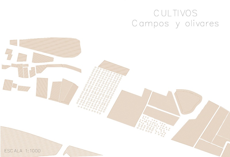 CULTIVOS