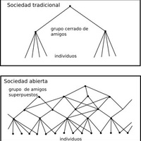 Imagen para la entrada 04. C. Alexander. La ciudad no es un árbol.