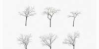 Imagen para el proyecto CHRISTOPHER ALEXANDER: "La ciudad no es un árbol"