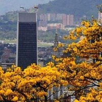 Imagen para la entrada Plano topográfico de Medellín