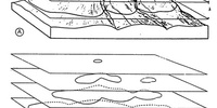 Imagen para el proyecto 02.- TOPOGRAFÍA