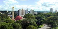 Imagen para el proyecto 07 Alexander, Chr La ciudad no es un árbol