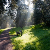 Imagen para la entrada Estudio del sistema verde y crecimiento ambiental de lisboa. GRUPO F