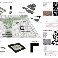 Imagen para la entrada 2.4. Aproximaciones . Tejidos - Manuales MEJORA