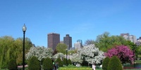 Imagen para el proyecto Plano de Boston a escala 1/5000