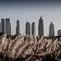 Imagen para la entrada Utopías en Chicago. Naturaleza vs. Capitalismo