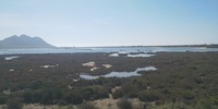 Imagen para el proyecto Proyecto Cabo de Gata