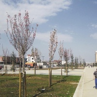 Imagen para la entrada Parku 1Km, Tirana (Albania)