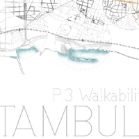 Imagen para la entrada P3. Walkability(Estambul)