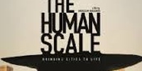 Imagen para el proyecto THE HUMAN SCALE