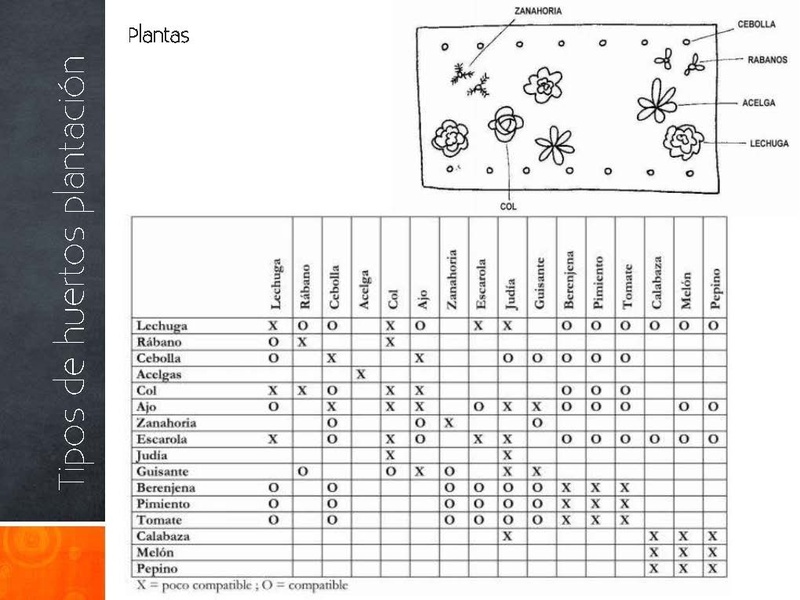 Tipos de huertos plantación