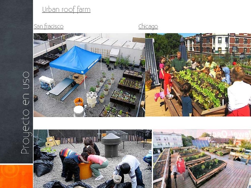 Urban roof farm