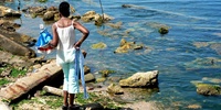 Imagen para el proyecto Inundación en la Habana