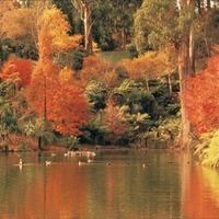 Imagen para la entrada SOSTENIBILIDAD. Melbourne