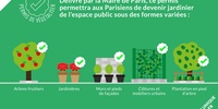 Imagen para el proyecto “Verde cerca de mí” que les permite a los vecinos ser jardineros en sus barrios