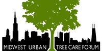 Imagen para el proyecto ¿La ciudad es un árbol?...