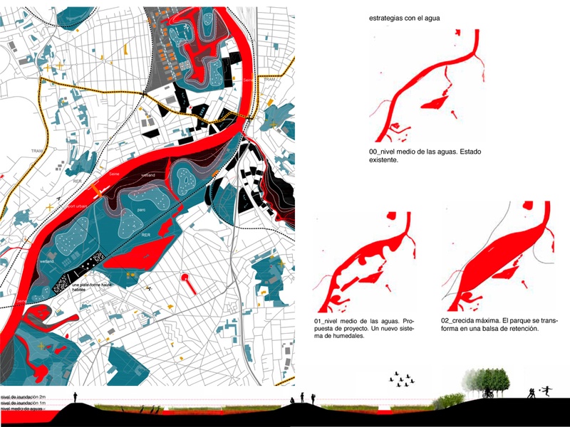 Humedales y biodiversidad