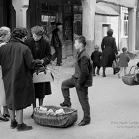 Imagen para la entrada ASCHER "LOS PRINCIPIOS DEL NUEVO URBANISMO" 