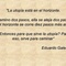 Imagen para el proyecto 