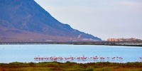 Imagen para el proyecto Masterplan Cabo de Gata