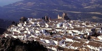 Imagen para el proyecto A_Biotipos y Ecotipos_Aguilar de la Frontera y Segura de la Sierra