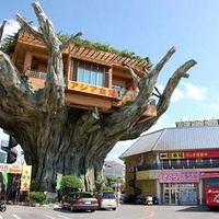 Imagen para la entrada La ciudad no es un arbol