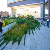 Imagen para la entrada Caminar en la arquitectura